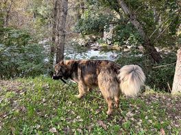 By the river