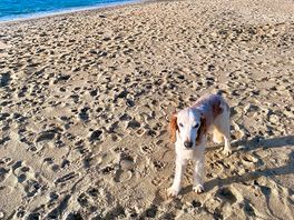 I have the beach to myself!