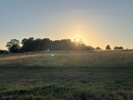 Sunsets