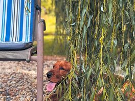 Cooper enjoying his stay <3
