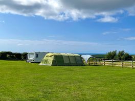 Large grass electric pitches