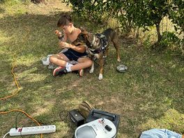 Son and dig