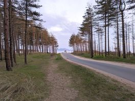 Walk down to the beach through newborough forest