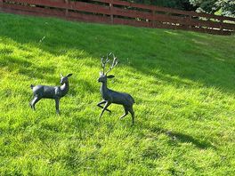Statues