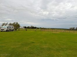Fields view