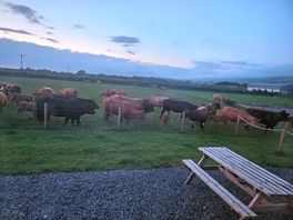 More neighbours