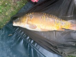 Great fishing