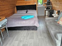 Inside the swans nest