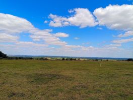 Dorset countryside