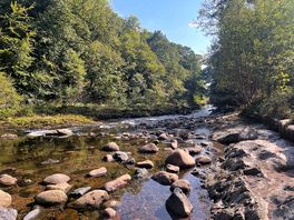 River dart