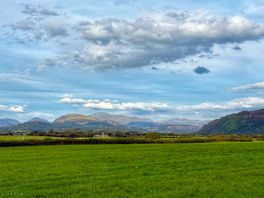 View from site