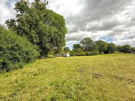 Tree-sheltered camping pitches