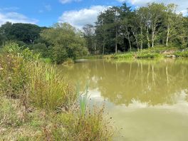 Lower fishing lake