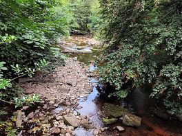 Waterfall walk