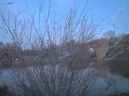 Looking out from our camper listening to the geese and ducks.