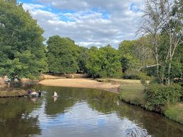 Fancy a paddle?