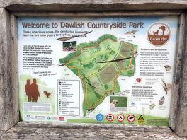 Dog walk ,walk into town