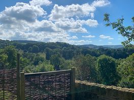 Great view on a sunny morning