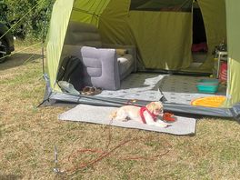 Relaxing in the sun.