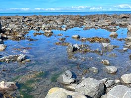 Rockpool heaven.