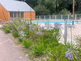 The pool area