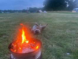 Evening fire view