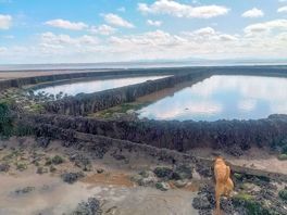 The tidal pool