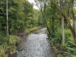 De omgeving