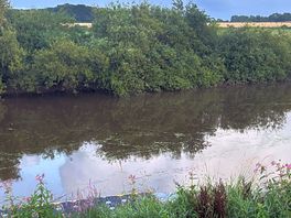 The river