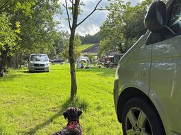 One of the camping areas, there was another bigger field