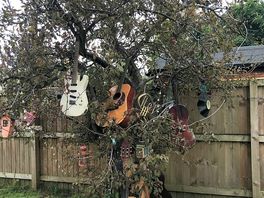 The music tree