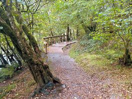Way back to site - nice wee bridge