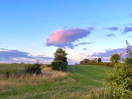 The field