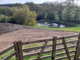 View of the duck pond