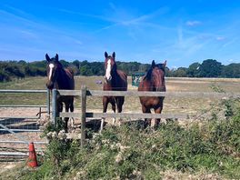 ‘neighbours’