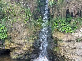 Waterfall at bottom of cliff/woods