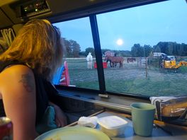 Camping-car et chevaux