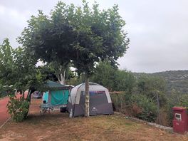 Nuestra parcela