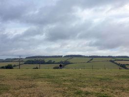 View from tent