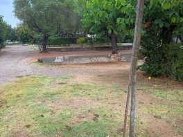 So called ‘grass pitch’