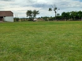 Dean house campsite, peaceful setting.