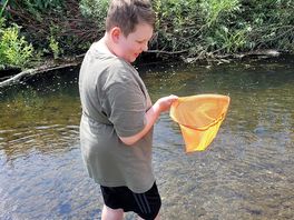 Catching minnows