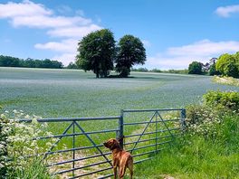 Wonderful views.