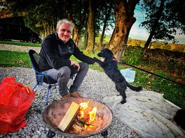 Camping with dogs