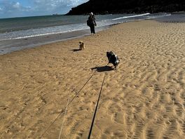 Local beach