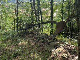 Paths nearby