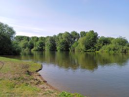 The river opposite the site