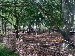 Den building area