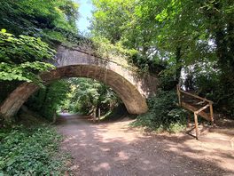 Disused railway walk towards blandford 2
