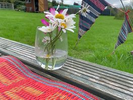 Few wild flowers picked from around the pond